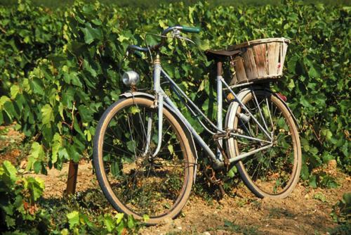 La Maison Grenadine Pres Du Canal Du Midi Tourouzelle Екстер'єр фото